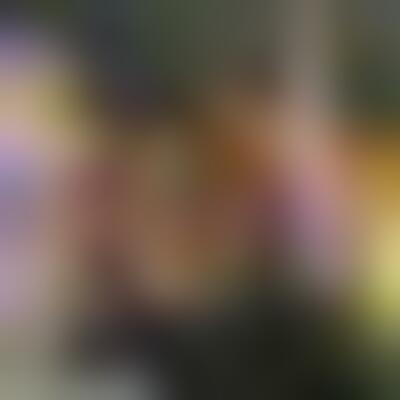 Profilbild einer 47 Jahre alten Frau, Single, 172 cm