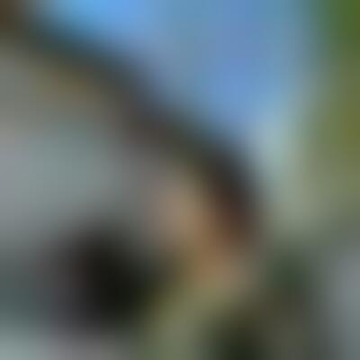 Profilbild einer 59 Jahre alten Frau, Single, 166 cm